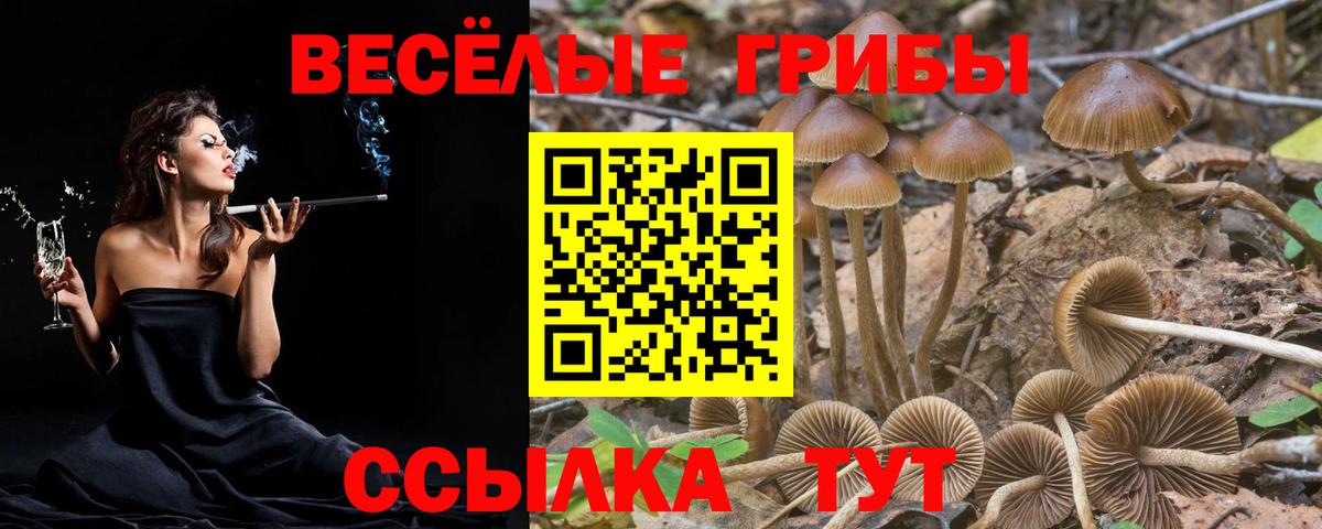 Галлюциногенные грибы ЛСД  что такое   Тимашёвск  Вход с VPN 