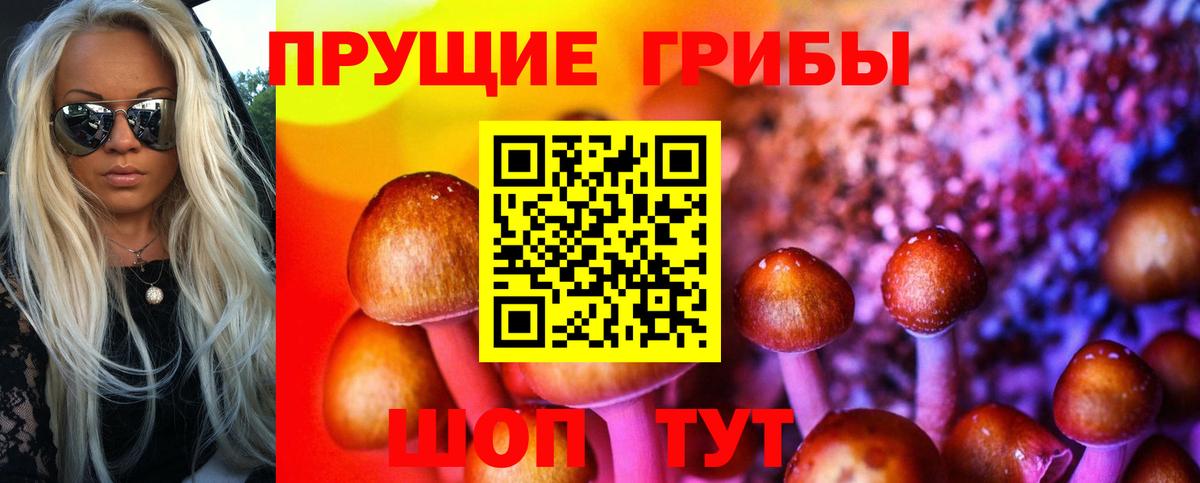 Галлюциногенные грибы мицелий Тимашёвск